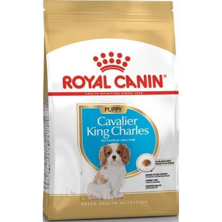 Cavalier King Charles Puppy 1,5kg - Royal Canin