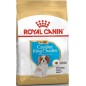Cavalier King Charles Puppy 1,5kg - Royal Canin 1238037 Royal Canin 18,30 € Ornibird