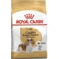 Cavalier King Charles Adult 1,5kg - Royal Canin 1238042 Royal Canin 16,65 € Ornibird