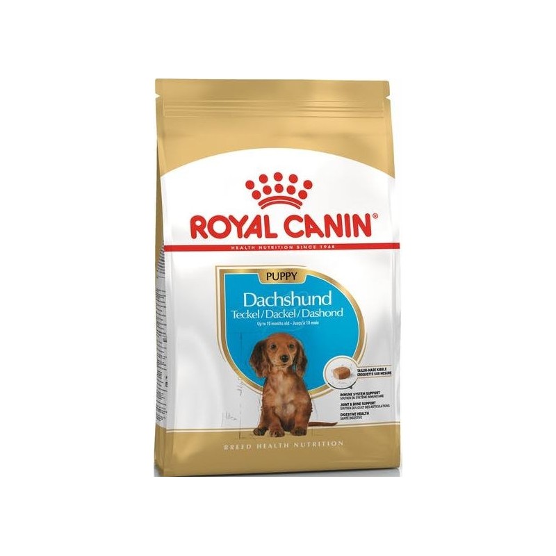 Dachshund Puppy 1,5kg - Royal Canin