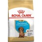 Dachshund Puppy 1.5kg - Royal Canin 1239065 Royal Canin 18,30 € Ornibird
