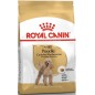Poodle Adult 7,5kg - Royal Canin 1238027 Royal Canin 66,50 € Ornibird