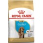 Cocker Puppy 3kg - Royal Canin 1238079 Royal Canin 29,30 € Ornibird