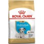 Dalmatian Puppy 12kg - Royal Canin 1239472 Royal Canin 93,60 € Ornibird