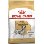 Dalmatian Adult 12kg - Royal Canin 1239482 Royal Canin 85,10 € Ornibird