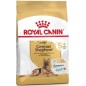 German Shepherd Adult 5+ 12kg - Royal Canin 1180164 Royal Canin 91,05 € Ornibird