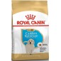 Golden Retriever Puppy 3kg - Royal Canin 1239381 Royal Canin 29,30 € Ornibird