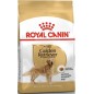 Golden Retriever adult 12kg - Royal Canin 1239362 Royal Canin 85,10 € Ornibird