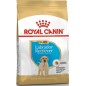 Labrador Retriever Puppy 3kg - Royal Canin 1239431 Royal Canin 29,30 € Ornibird