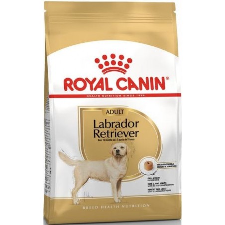 Labrador Retriever Adult 3kg - Royal Canin 1239490 Royal Canin 26,65 € Ornibird