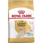 Labrador Retriever Adult 5+ 12kg - Royal Canin 1239494 Royal Canin 91,05 € Ornibird