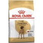 Great Dane 12kg - Royal Canin 1239402 Royal Canin 80,85 € Ornibird