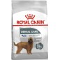Maxi Dental Care 9kg - Royal Canin 1260609 Royal Canin 68,15 € Ornibird