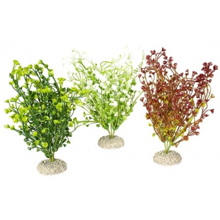 Plante Bacopa couleurs mélangées M 25cm - Aqua Della à 9,95 € - Aqua Della - 242/458167 - Plantes artificielles