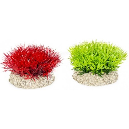 Plante Crystalwort Moss couleurs mélangées S 5cm - Aqua Della à 4,95 € - Aqua Della - 242/457801 - Plantes artificielles