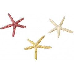 Starfish Mix S 10cm - Aqua Della à 6,95 € - Aqua Della - 234/418918 - Décoration