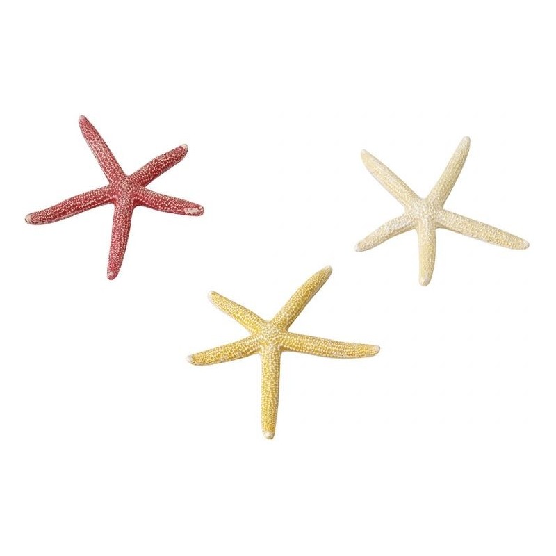 Starfish Mix S 10cm - Aqua Della