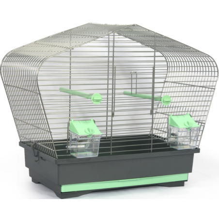 Cage Otto Menthe 50x25,5x40cm 15114 Kinlys 35,95 € Ornibird