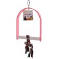 Acrylique Sandy Swing M 35x17x2,7cm - Petlala PL2841 PETLALA 12,95 € Ornibird