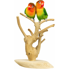 Arbre de Java Mini 18x30x12cm - Back Zoo Nature ZF1111 Back Zoo Nature 29,95 € Ornibird