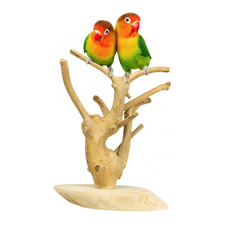 Arbre de Java Mini 18x30x12cm - Back Zoo Nature à 29,95 € - Back Zoo Nature - ZF1111 - Perchoirs