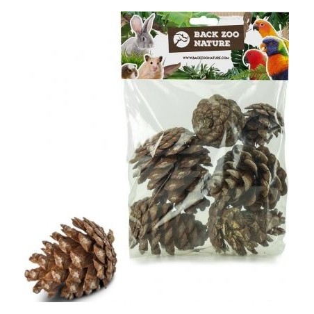 Cônes de pin forestier pour les oiseaux 6pièces - Back Zoo Nature ZF3553 Back Zoo Nature 4,15 € Ornibird