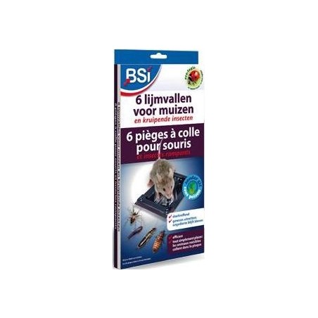 Piège à colle souris 6 pièces - BSI à 8,50 € - BSI - 25084 - BSI