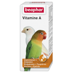 Vitamine A 20ml - Beaphar à 7,95 € - Beaphar - 16108 - Vitamines et Compléments