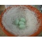 100 Eggs dummy plastic for canaries