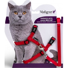 Harnais+Laisse Grand Chat Rouge 34/57cm+120cm - Vadigran à 12,95 € - Vadigran - 16605 - Harnais