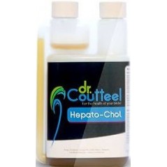 Hepato-Chol 250ml - Protecteur hépatique - Dr.Coutteel à 22,20 € - Dr. Coutteel - DRC-0004 - Dr. Coutteel