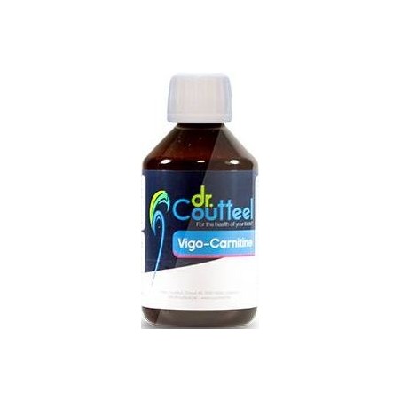 Vigo-Carnitine 250ml - Améliore la condition générale - Dr.Coutteel à 19,80 € - Dr. Coutteel - DRC-0012 - Dr. Coutteel