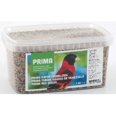 Tarins Rouges de Venezuela 1kg - Prima à 5,60 € - Prima - 116074010 - Graines