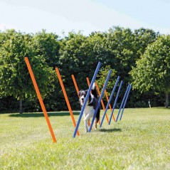 Slalom Agility 3x115cm - Trixie à 44,95 € - Trixie - 3206 - Agilité