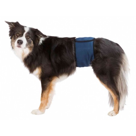 Couches lavables pour chiens mâles S 29-37cm - Trixie à 5,00 € - Trixie - 23661 - Culottes