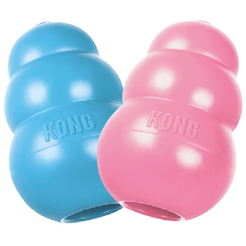 Kong Puppy Bleu ou Rose XS - Kong