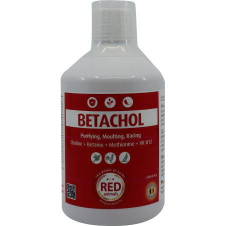 Betachol (couleur rouge avec B-vitamines, foie, plumage) 500ml - Red Animals 31101 Red Animals 14,90 € Ornibird