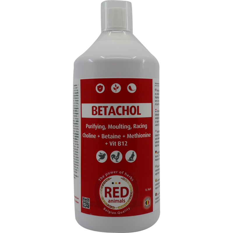 Betachol (couleur rouge avec B-vitamines, foie, plumage) 1L - Red Animals