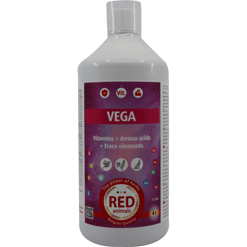 Vega (tout inclus: vitamines, acides aminés, électrolytes) 1L - Red Animals