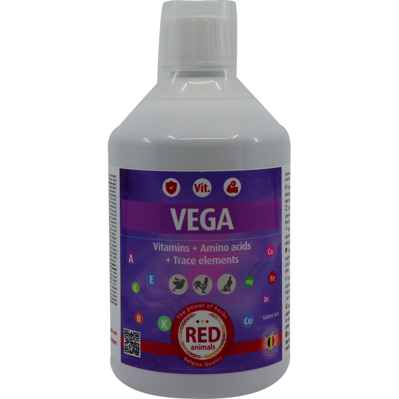 Vega (tout inclus: vitamines, acides aminés, électrolytes) 500ml - Red Animals