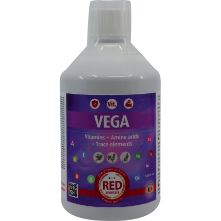 Vega (tout inclus: vitamines, acides aminés, électrolytes) 500ml - Red Animals