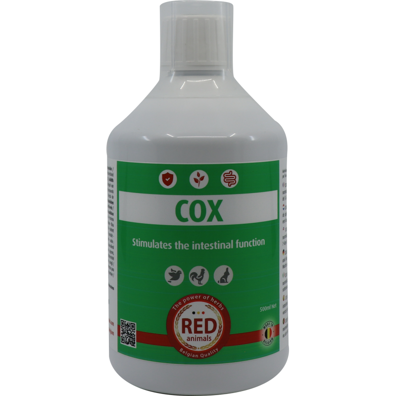 Cox (santé intestinale) 500ml - Red Animals