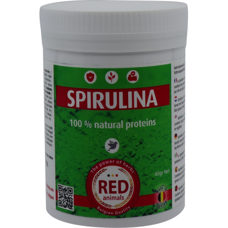 Spirulina (source de proteines, algues) 80gr - Red Animals à 9,50 € - Red Animals - RB009 - The Red Pigeon-Bird