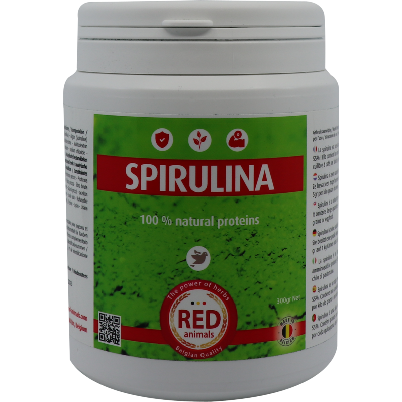 Spirulina (a source of proteins, algae) 300g - Red Bird to birds