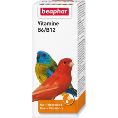 Vitamine B6/B12 50ml - Beaphar à 9,85 € - Beaphar - 11415 - Vitamines et Compléments