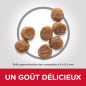 Science Plan aliment pour Chiot Small & Mini au Poulet 6kg - Hill's