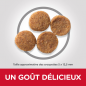 Science Plan aliment pour Chien Adulte Medium au Poulet 12kg - Hill's