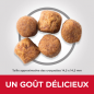 Science Plan aliment pour Chien Adulte de Grande Race Healthy Mobility au Poulet 12kg - Hill's