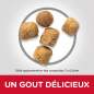 Science Plan aliment pour Chat Adulte Urinary Health Poulet 1,5kg - Hill's