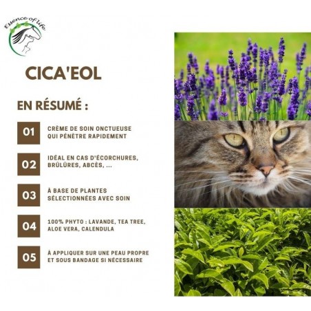 Cica'eol Pommade cicatrisante non grasse 100ml - Essence of Life (chien, chat, rongeur)